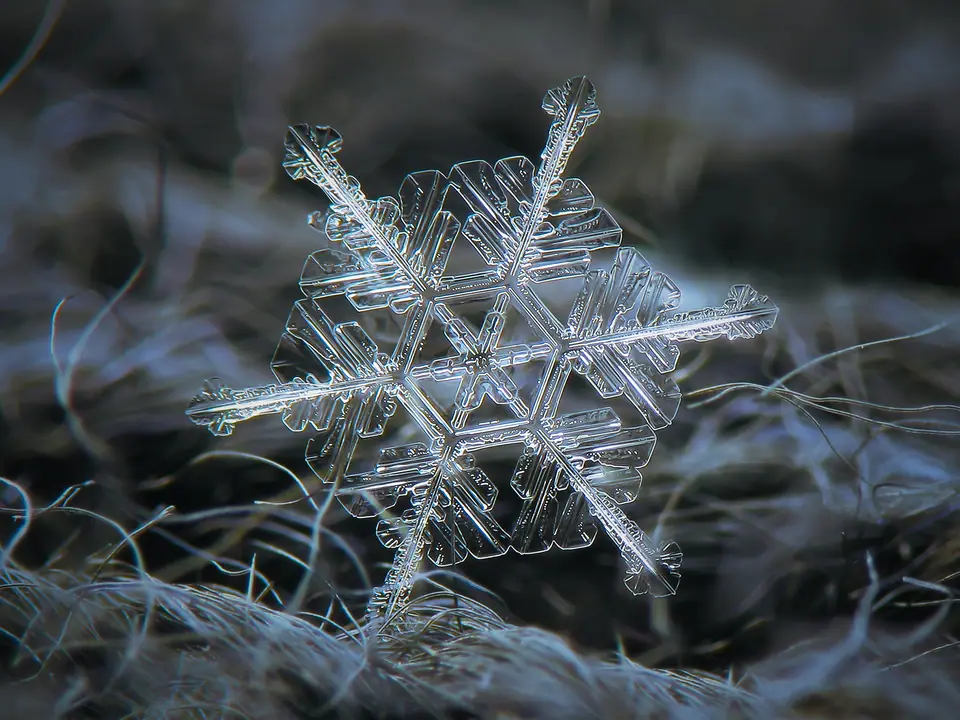 Cristal de nieve de seis brazos ramificados, fotografiado de cerca sobre un tejido de lana oscuro