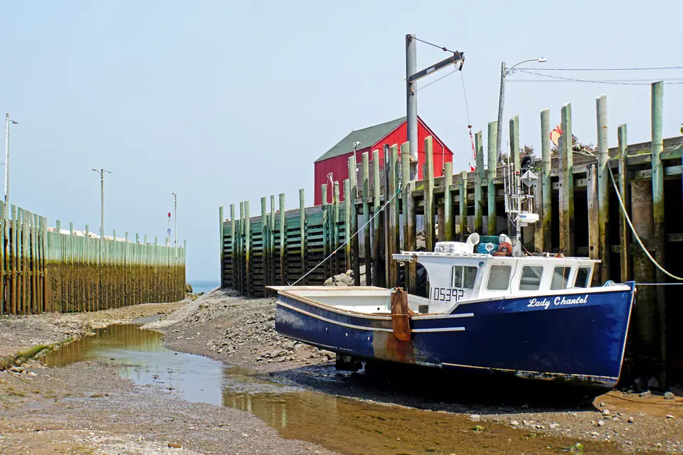 Barco pesquero apoyado en el fondo seco del puerto de Hall's Harbour, en la bahía de Fundy, durante la marea baja