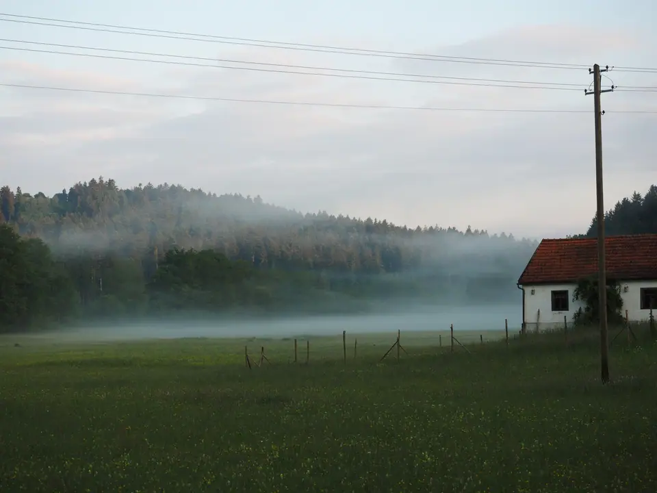 Niebla baja de radiación sobre un prado al amanecer, con una casa y un bosque detrás