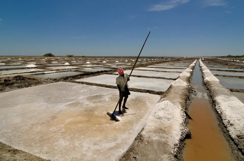 Un trabajador junta sal en las salinas de Marakkanam, en la India, donde el agua de mar se evapora al sol en piletas poco profundas